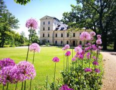 Chateau Mcely