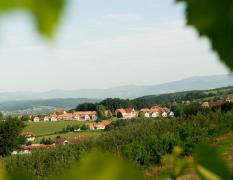Wilfinger Thermal Biodorf Blick auf das Wilfinger Thermal Biodorf und die umliegenden Hügel
