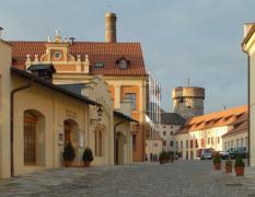 Wellness &amp; Congress hotel Dvořák Tábor