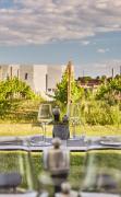 Blick in die Weinberger von der Terrasse des Loisium Wine Spa Hotel Langenlois