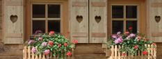 Almdorf Almlust Almdorf Almlust