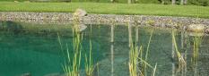 Almdorf Almlust Almdorf Almlust